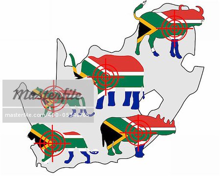 Big Five South Africa cross lines