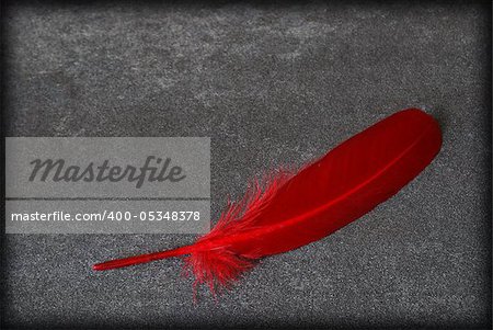 An alone red feather rest on this contrasting background.