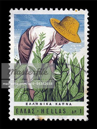 GREECE - CIRCA 1966. Vintage postage stamp with farmer harvesting tobacco plants illustration, circa 1966.