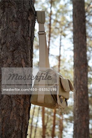 Shoulder bag hanging on pine tree