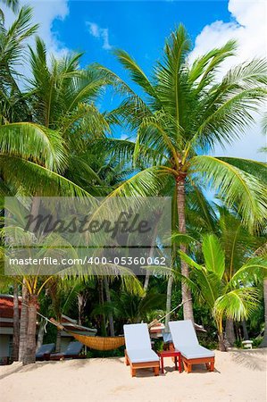 Beach chairs on tropical white sand beach