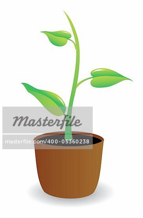 A potted plant beginning to grow, illustration.
