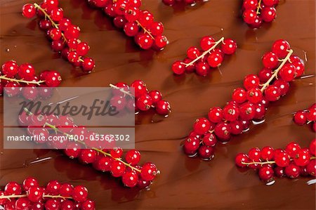 chocolate fondue with red currant