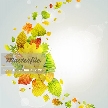 Autumn background with colorful leaves. Vector illustration.