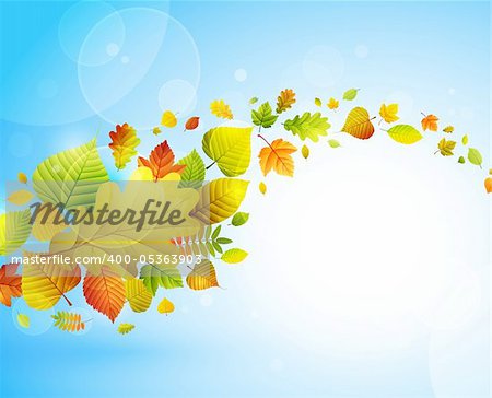 Autumn background with colorful leaves on blue and place for text. Vector illustration.
