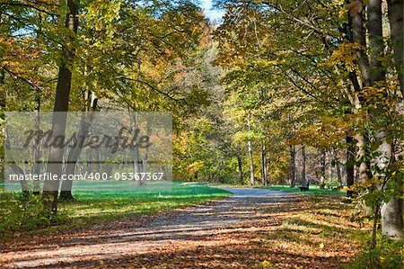 Beautiful peaceful walk in the autumn park