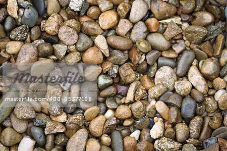 Wet sea pebble. Multicolored natural background