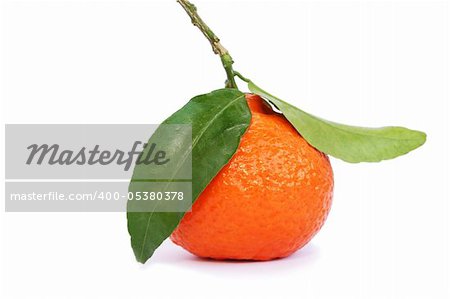 Ripe tangerine isolated on white background.