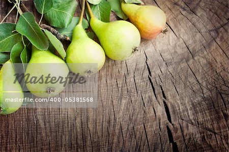 Freshly harvested pears on old wooden background