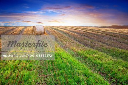 hay bale on harvested field in evening light