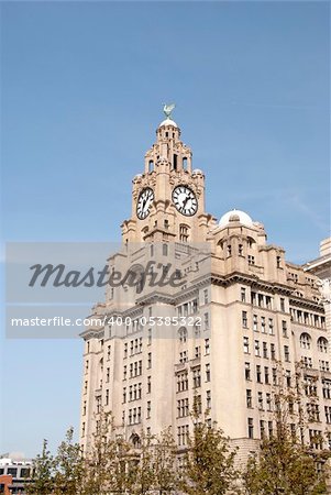 Liverpools Historic Liver Building and Clocktower under a blue sky