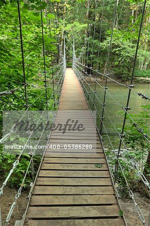 Suspension foot bridge in the forest over Ohanapecosh river in Grove of the Patriarchs trail in Mt. Rainier national park.