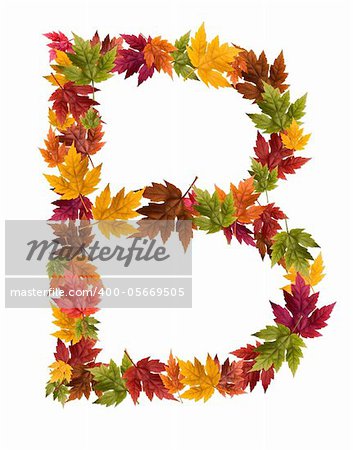 Alphabet and numbers made from autumn maple tree leaves.