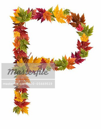 Alphabet and numbers made from autumn maple tree leaves.