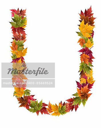 Alphabet and numbers made from autumn maple tree leaves.