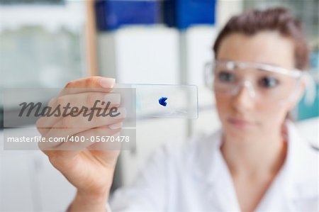 Scientist looking at a microscope slide with the camera focus on the object