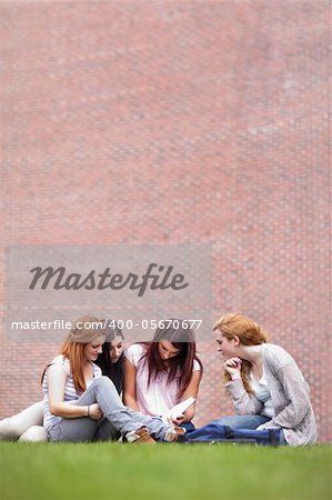 Portrait of friends reading a book while sitting on the lawn