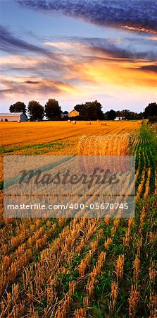 Golden sunset over farm field with hay bales