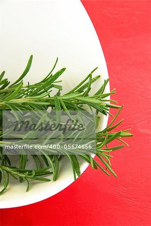 fresh rosemary green sprigs in white bowl