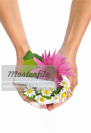 Young  woman holding mortar with herbs - Echinacea, ginkgo, chamomile