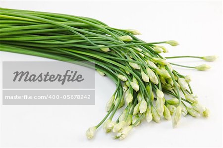 Chives flower on white background