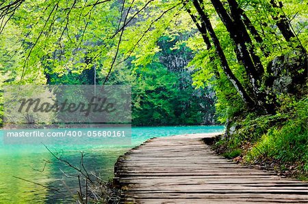 Wooden path near a forest lake