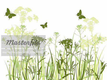 background with green grass, camomile flowers  and butterfly