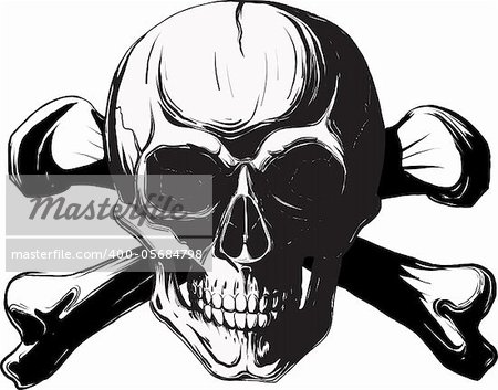 human skull and bones. Pirate symbol isolated on a white background