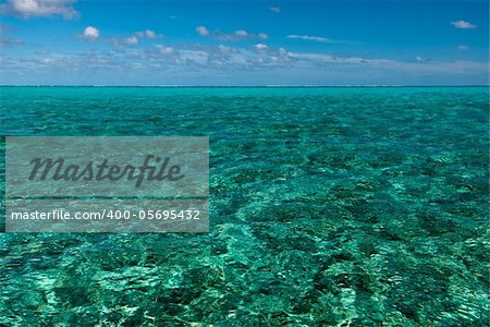 A paradisical seascape, Bassas Da India, Mozambique A paradisical seascape, Bassas Da India, Mozambique