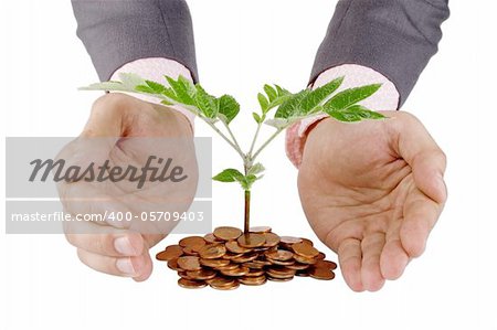 Businessman protecting plant sprouting from a pile of coins - good investment and money concept