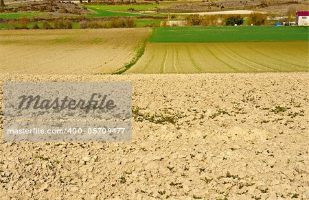 Freshly Plowed Field in Spring Ready for Cultivation