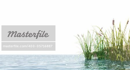 pixel water landscape and reed - illustration