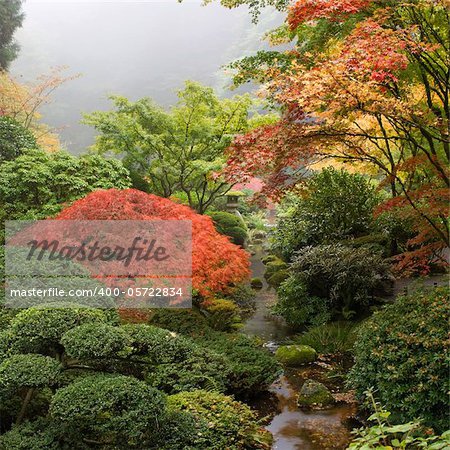 Creek at Japanese Garden One Foggy Morning in the Fall