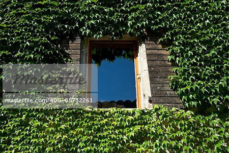 The Window on the Facade of a Wooden House Decorated with Wild Vine, City Saou, France