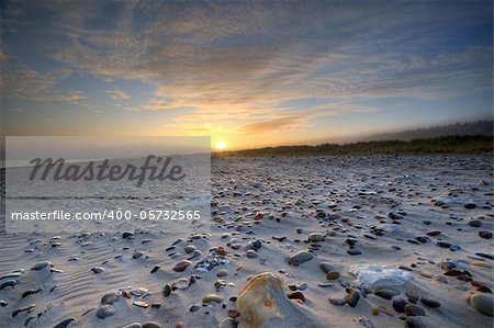 Misty day at the beach