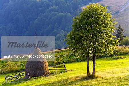 Summer mountain landscape with haystack and lonely tree