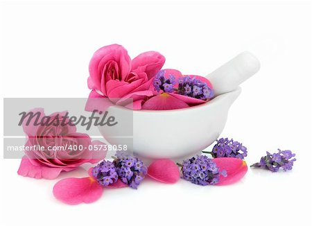 Rose and lavender herb flowers in a porcelain mortar with pestle isolated over white background.