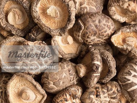 close up of dried shitake mushrooms food background