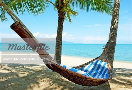 Empty hammock between palms trees at sandy beach