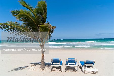 Relax under palm-tree on the dominican beach