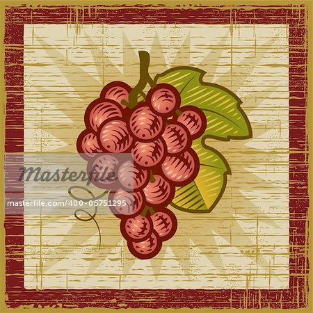 Retro grapes bunch on wooden background. Vector illustration in woodcut style.