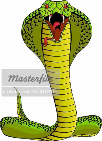 Cobra illustration