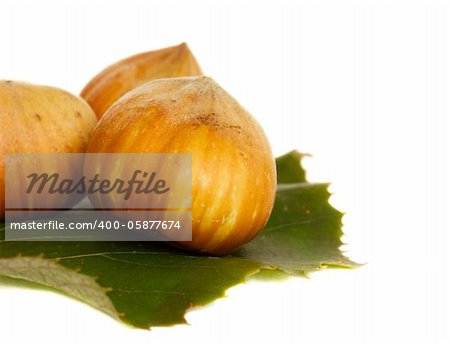 hazel nuts with green leaf isolated on white background