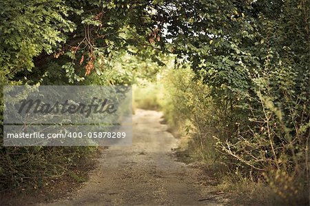 green alley with rural footpath