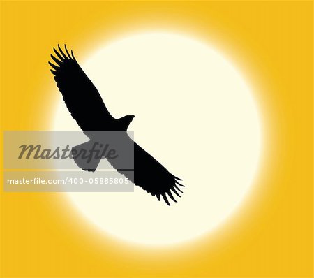 Silhouette of flying eagle on sun background