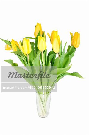 Yellow tulip flowers in a glass isolated on white