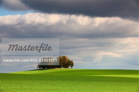 Autumn island in the green field