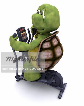 3d render of a tortoiserunning on a cross trainer