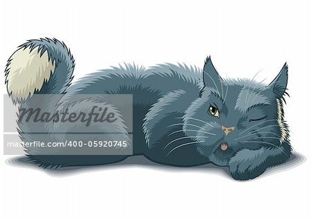 Lying cat with raised by tail watches one eye