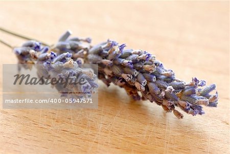 dry lavender flowers closeup over blur brown background